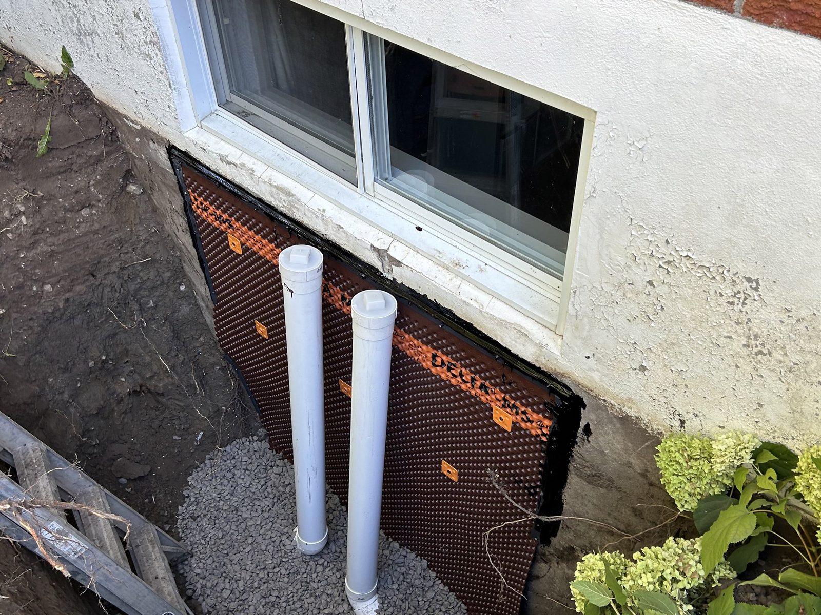 Drain français